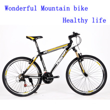 2016 Beautiful V Brake Mountain Bicycle (FP-MTB-ST048)